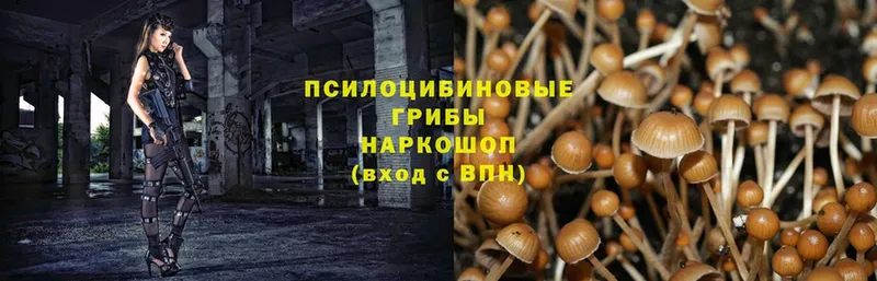 мориарти наркотические препараты  хочу   Бирск  Псилоцибиновые грибы Magic Shrooms 